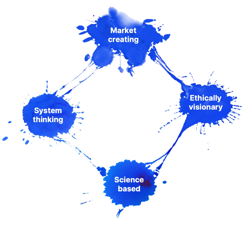 Working principles at Netsocietal