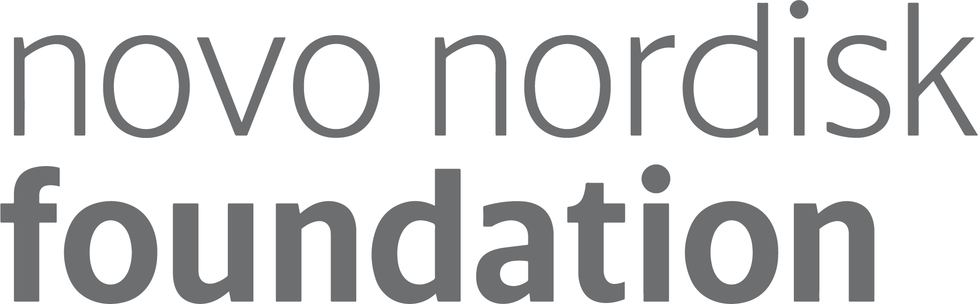 NNF-INT_logo_grey